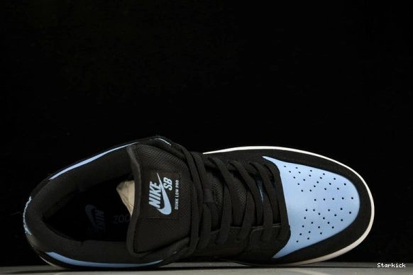 SB Low Dunk  Sub Nike 304292-048 Zero 0710